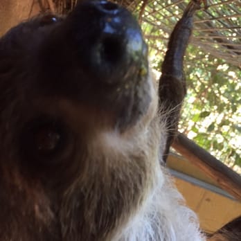 Wildlife Learning Center - The perfect Valentine's date - Zoos Near Me - Sylmar, California Wildlife Learning Center - The perfect Valentine's date - Zoos Near Me - Sylmar, California