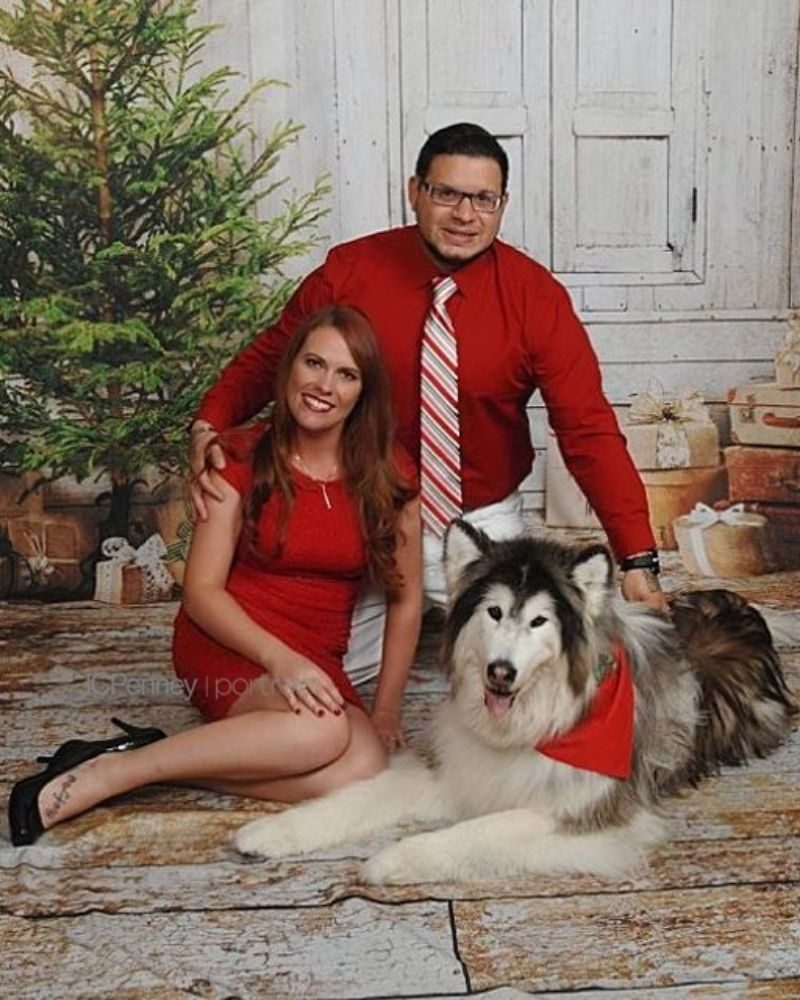 NAPLES MOBILE GROOMING Updated October 2024 44 Photos 14100 Tamiami Tr E, Naples, Florida