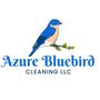 Photo of Azure Bluebird Cleaning