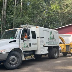 Timberview Tree Service