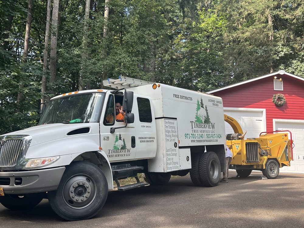 Timberview Tree Service - tree service in Independence, OR