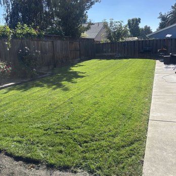 Fernando's Gardening - Yard still going on strong looking beautiful - Landscaping Near Me - Fremont, California Fernando's Gardening - Yard still going on strong looking beautiful - Landscaping Near Me - Fremont, California