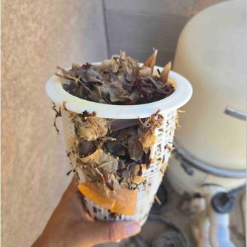 Crystal Clear Pool Service - from the vacuum and was never checked - Pool Cleaners Near Me - Yuma, Arizona Crystal Clear Pool Service - from the vacuum and was never checked - Pool Cleaners Near Me - Yuma, Arizona