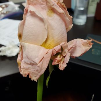 Flowers For Dreams - Florists Near Me - Chicago, Illinois