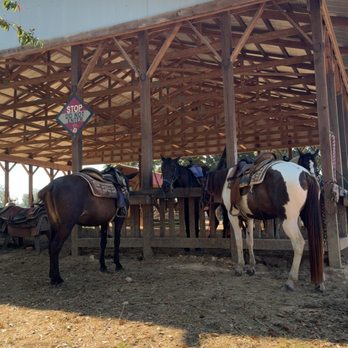 Natchez Trace Stables - Natchez Trace Stable - Horseback Riding Near Me - Primm Springs, Tennessee Natchez Trace Stables - Natchez Trace Stable - Horseback Riding Near Me - Primm Springs, Tennessee