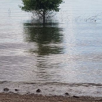 Lahontan State Recreation Area - The lake is high. - Campgrounds Near Me - Fallon, Nevada