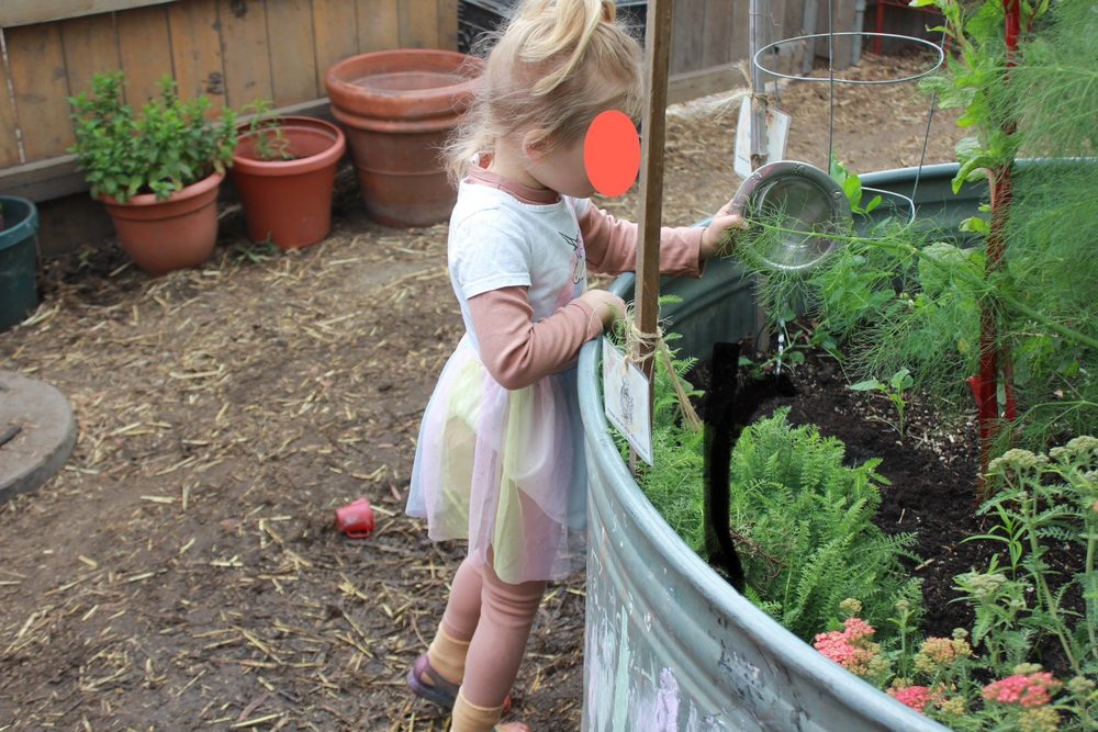 DIG Childhood Center - childcare center in Los Angeles, CA