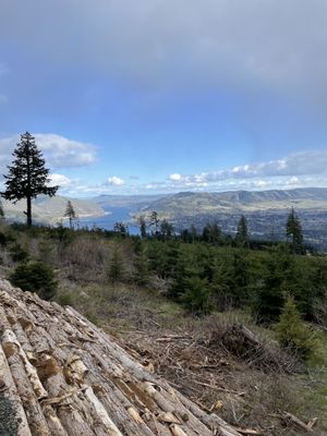 South Hill Winery by null