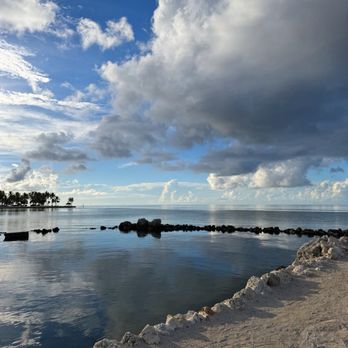 Blue Waters Bar & Grill - Beach vibes - Seafood Near Me - Marathon, Florida Blue Waters Bar & Grill - Beach vibes - Seafood Near Me - Marathon, Florida