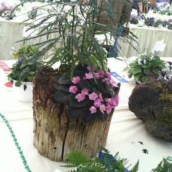 Tagawa Gardens - Nurseries & Gardening Near Me - Centennial, Colorado Tagawa Gardens - Nurseries & Gardening Near Me - Centennial, Colorado