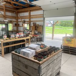 Sandoval’s Fruit Shack - Fruits
