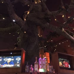 Tree Bar