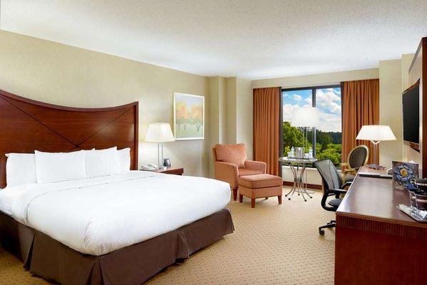 Hilton Washington Dulles Airport by null