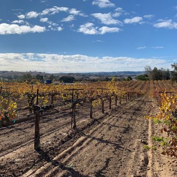 Ride5 Wine Tours -Paso Robles - Wine Tours Near Me - Paso Robles, California Ride5 Wine Tours -Paso Robles - Wine Tours Near Me - Paso Robles, California