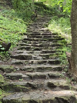 Glen Helen Nature Preserve by null