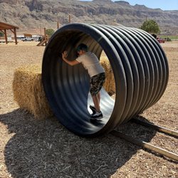 Fisher Family Farm - Hamster wheel