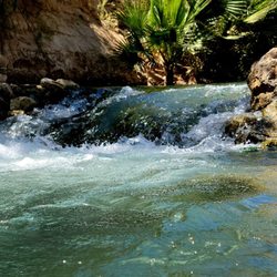 Palm Creek RV Resort and Picnic Grounds