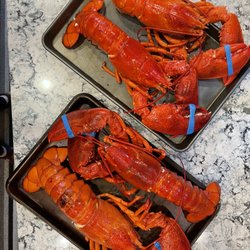 The Lobster Guy - The 2 1/2 pound monsters!!! Mmmmmmm