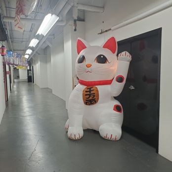The Lucky Cat Museum - Welcome! - Museums Near Me - Cincinnati, Ohio The Lucky Cat Museum - Welcome! - Museums Near Me - Cincinnati, Ohio