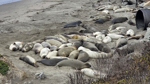 Ragged Point Inn & Resort by null