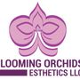 Blooming Orchids