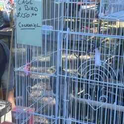 39 Mile Scenic Highway Yard Sale