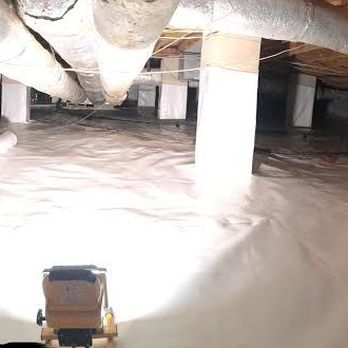 A All-Round Termite & Pest Control Service - Crawl Space Encapsulation - Pest Control Near Me A All-Round Termite & Pest Control Service - Crawl Space Encapsulation - Pest Control Near Me
