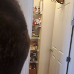 Great Clips - Long hairs left right in the middle of the fade. Cut is half ass and poor work.