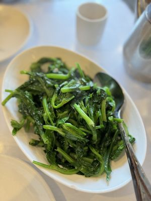 Sichuan Home by null