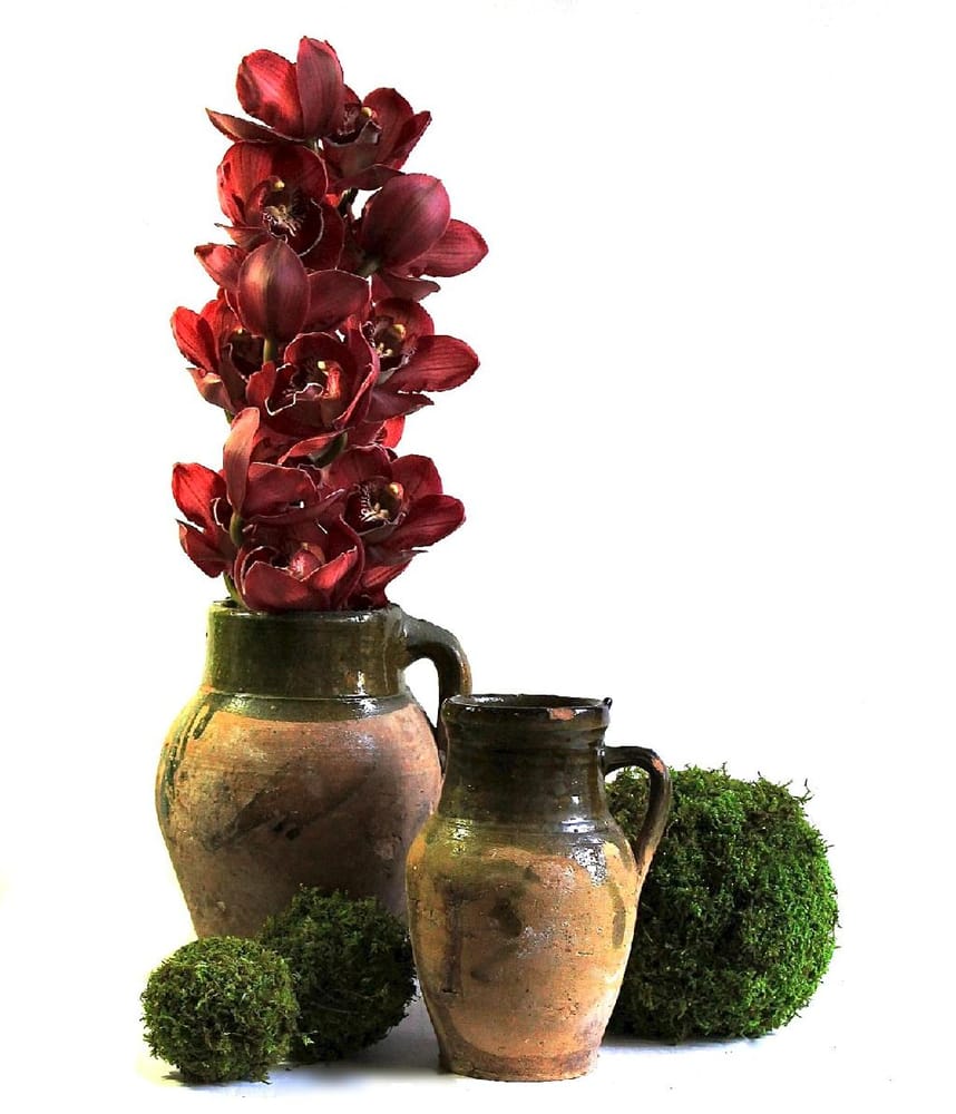 FLOWERS FOR THE PEOPLE Updated September 2024 75 Photos & 47 Reviews 10129 Main St