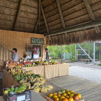 Fruits n’ Cahoots - Cutest little thatched hut setup - Fruits & Veggies Near Me - Davie, Florida Fruits n’ Cahoots - Cutest little thatched hut setup - Fruits & Veggies Near Me - Davie, Florida