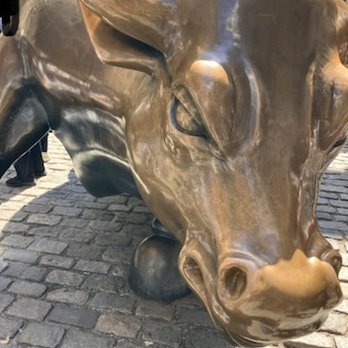 Charging Bull - Landmarks & Historical Buildings Near Me - New York, New York