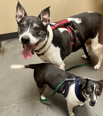 SUWANEE ANIMAL HOSPITAL - Updated February 2026 - 63 Photos & 116