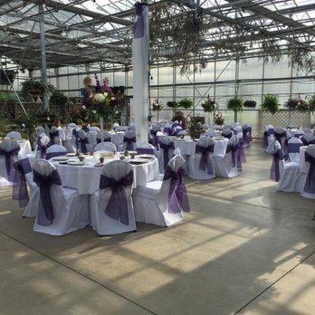 Buchwalter Greenhouse - Weddings at Buchwalter Greenhouse - Nurseries & Gardening Near Me - Wooster, Ohio Buchwalter Greenhouse - Weddings at Buchwalter Greenhouse - Nurseries & Gardening Near Me - Wooster, Ohio