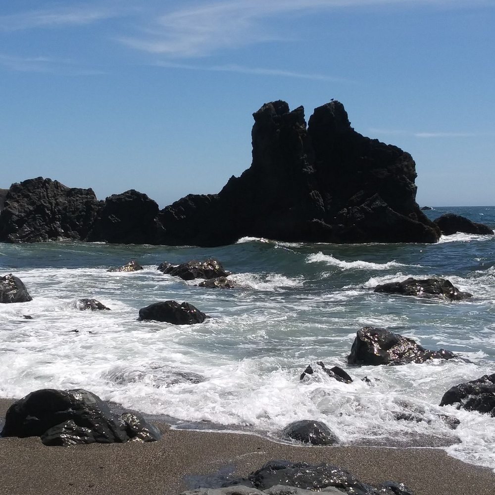 Portuguese Beach - Beaches Near Me - Bodega Bay, California Portuguese Beach - Beaches Near Me - Bodega Bay, California