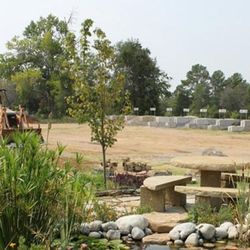 The Yard