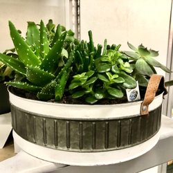 BJ's Wholesale Club
