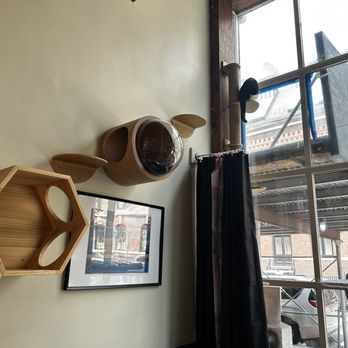 BROOKLYN CAT CAFE - Updated June 2025 - 424 Photos & 183 Reviews - 76