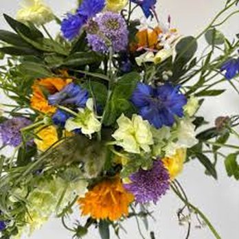 Magical Blooms - Florists Near Me - Redondo Beach, California Magical Blooms - Florists Near Me - Redondo Beach, California