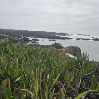 Glass Beach - Beaches Near Me