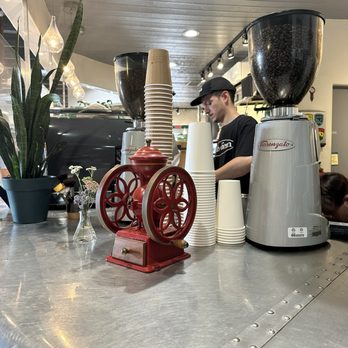 Cutbow Coffee Roastology - Watching the maters at work! - A coffee shop counter displays two large coffee grinders filled with coffee beans, with disposable cups stacked between them. A small red vintage-style coffee grinder is also on the counter. A barista wearing a black cap and shirt is working in the background, with a plant and small decorative flowers nearby. The interior has a ceiling with track lighting and hanging light fixtures, creating a typical café atmosphere. - Coffee Roasteries Near Me - Albuquerque, New Mexico