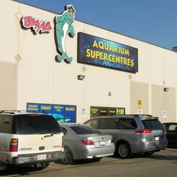 Big Al's - July 31, 2017.
