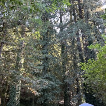 Camp Russian River - Campgrounds Near Me - Guerneville, California Camp Russian River - Campgrounds Near Me - Guerneville, California