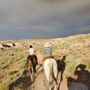Photo of Little Creek Trail Rides