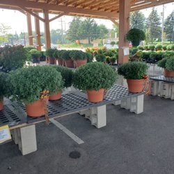 Sanfelippo's City Center Market