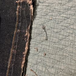 Beall'soutlet 556 - Pants leg