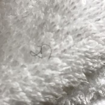 Courtyard by Marriott Springfield Downtown - Only one towel with one pube, which is progress. - Hotels Near Me - Springfield, Ohio