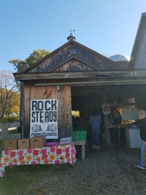 Rock Steady Farm by null