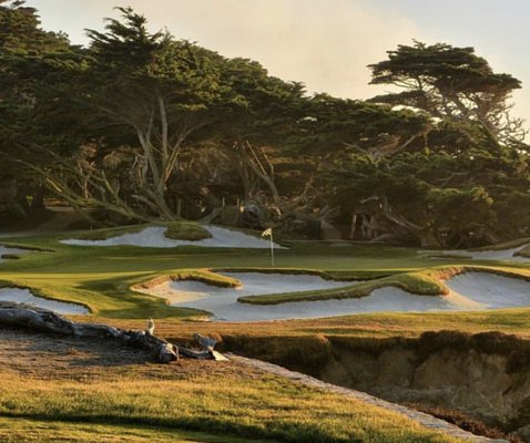 Cypress Point by null