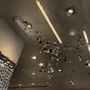 Swarovski